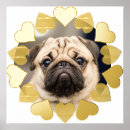 Buscar querido posters Para todos