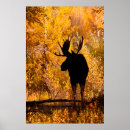 Buscar alzas posters Otoño