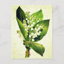 Buscar lirio de pascua postales Amor
