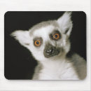 Buscar lemur alfombrillas de raton Parque zoológico
