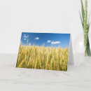 Buscar trigo tarjetas Escena rural