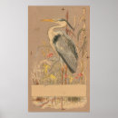Buscar colocación posters Pájaro