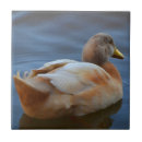 Buscar duck azulejos Pato