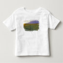 Buscar de púas camisetas Puesta de sol