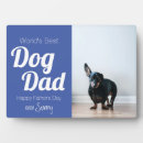 Buscar pet decoracion Dog