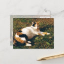 Buscar tirada postales Para todos
