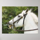 Buscar acuarela caballo posters General y unisex