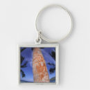 Buscar tronco de árbol llaveros Corteza