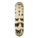 Buscar crema tablas de skate Animales