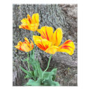 Buscar secuencia posters General y unisex
