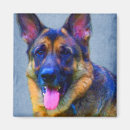 Buscar alemanes imanes Gsd