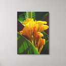 Buscar sombra verde posters Plantas