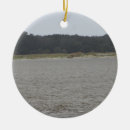 Buscar caballos salvajes adornos General y unisex