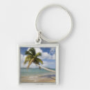 Buscar coconut llaveros Palmera