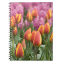 Buscar holanda cuadernos Tulipán