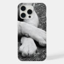 Buscar paws iphone fundas Pinzas