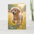 Buscar mina tarjetas Adorable