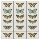 Buscar insecto telas Crema
