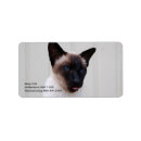 Buscar gato marrón postales Animales