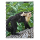 Buscar parte posterior cuadernos Primer