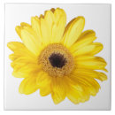Buscar cierre azulejos Flor