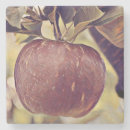Buscar manzana roja posavasos Otoño