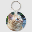 Buscar ginger llaveros Jadeo