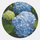 Buscar photo pegatinas Floral