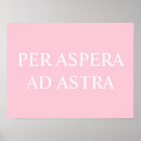 Buscar áspero posters Rosa