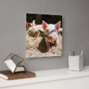Buscar cerdos relojes de pared Animales lindos