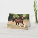 Buscar cola de caballo tarjetas Raza