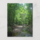 Buscar suriname postales Sudamérica