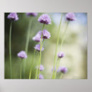 Buscar naturaleza posters Hierba