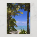 Buscar palmeras en la playa postales Océano