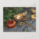 Buscar castaña postales Castaño