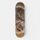Buscar gatitos lindos tablas de skate Para todos