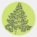 Buscar helecho pegatinas Vegetación