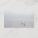 Buscar cisne tarjetas de visita Lago