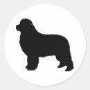 Buscar terranova pegatinas Animales