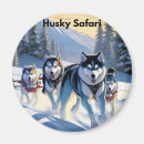 Buscar circle imanes Naturaleza