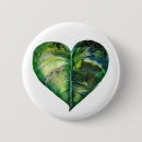 Buscar vivo chapas Naturaleza
