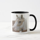Buscar imagen del caballo tazas Animal