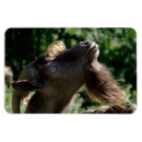 Buscar de billy imanes Moderno