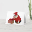 Buscar perro bulldog tarjetas Adorable