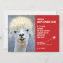 Buscar llama tarjetas General y unisex