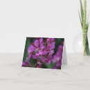 Buscar fireweed Montañas