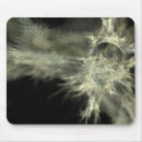 Buscar apophysis Explosión