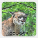 Buscar cougar pegatinas León de montaña