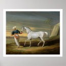 Buscar caballo árabe posters De