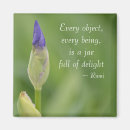 Buscar placer imanes Primavera